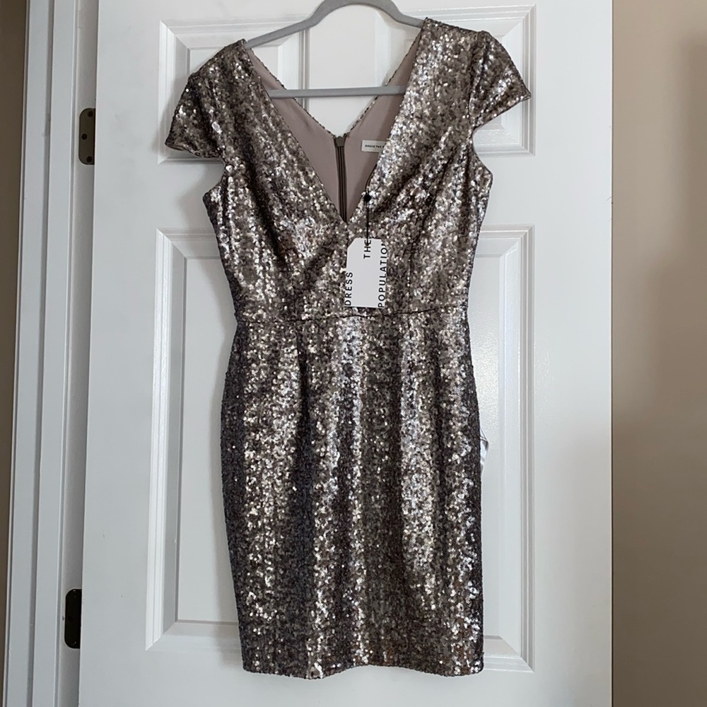 Silver Dress the Population dress!